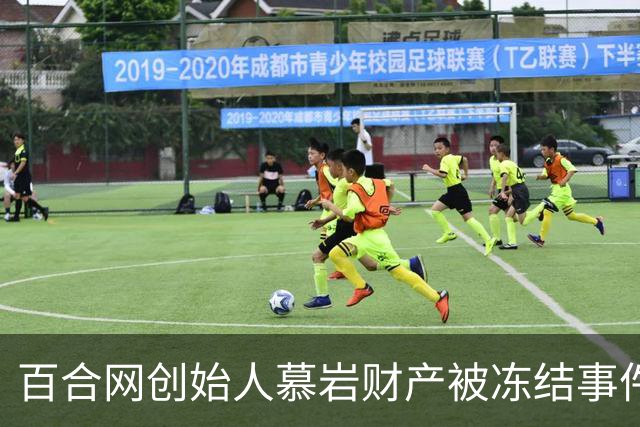 百合网创始人慕岩财产被冻结事件分析与影响探讨